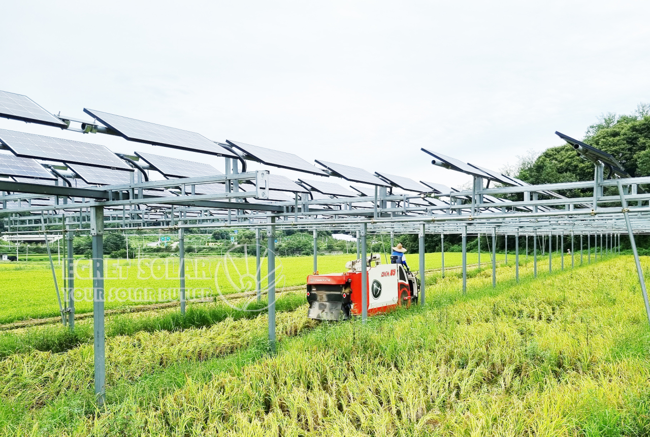 Der Ausbau der Solarlandwirtschaft mit Aluminium treibt eine nachhaltige landwirtschaftliche Entwicklung voran