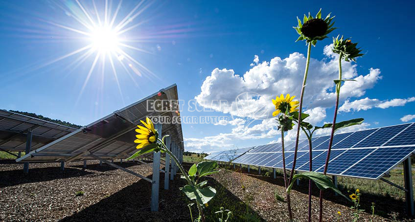 Umfassende Klassifizierung von Solar-Photovoltaikzellen