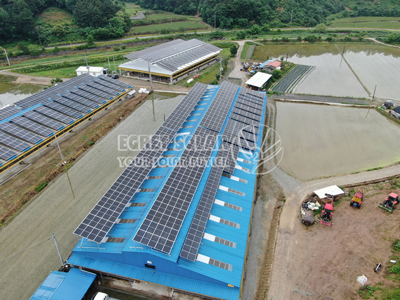 Analyse des Solarenergiemarktes in Südkorea