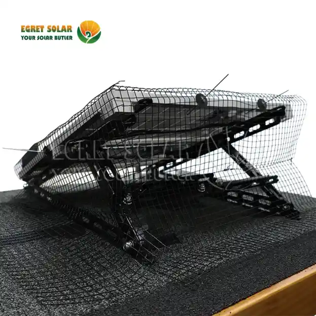 Warum sind Solar-Vogelnetze die wichtigste Verteidigungslinie?